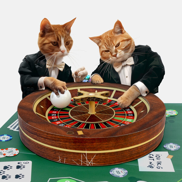 Cat Casino | Roulette-wheel cat toy.