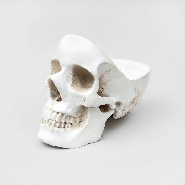 Skull Tidy | Organise your essentials in your head.