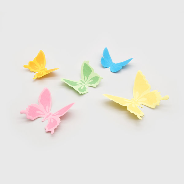 3D Sticky Note Specimen Box | Paper butterfly wall decorations & notes - specimen edition.